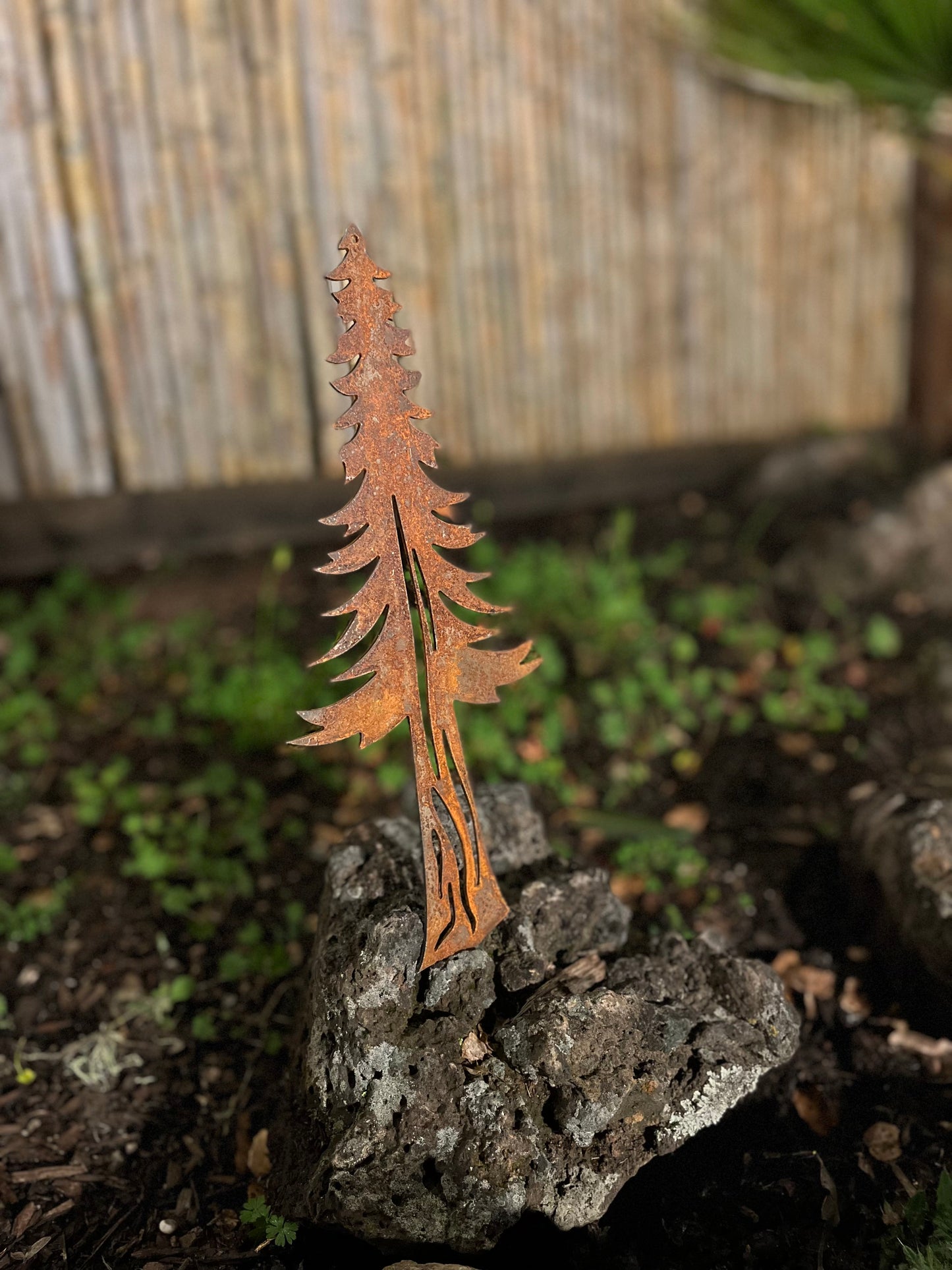 Redwood Tree Wall Silhouettte